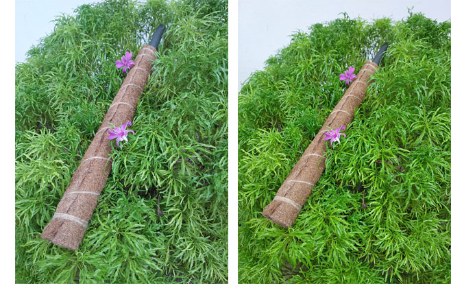 Coir-Poles